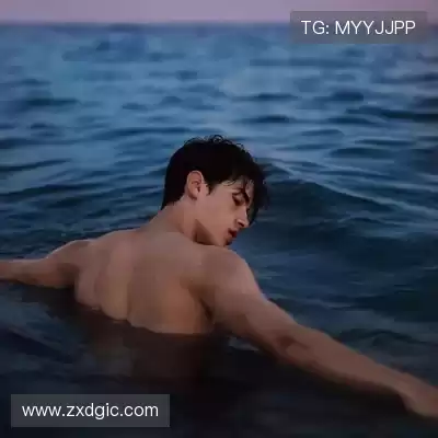 蓬宝蝶